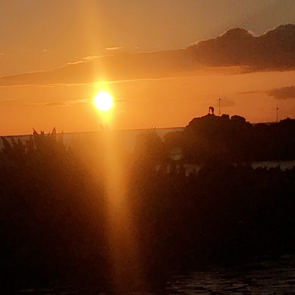 Meet your Posher, Nijma